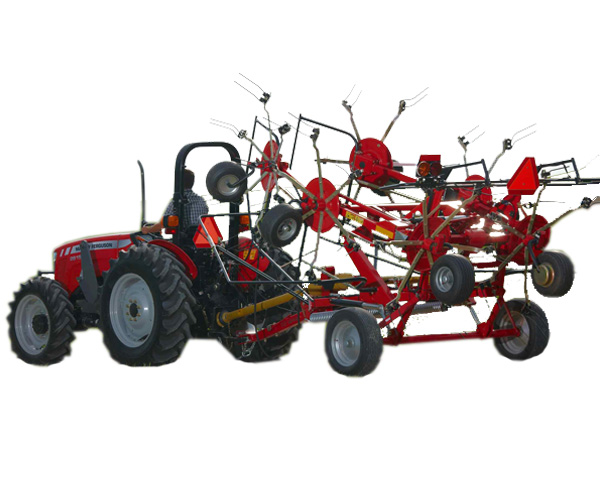 Massey Tedders